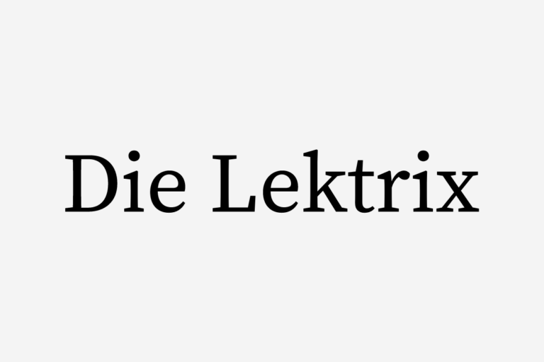 Sonja Pichler Netzwerk Logo Die Lektrix